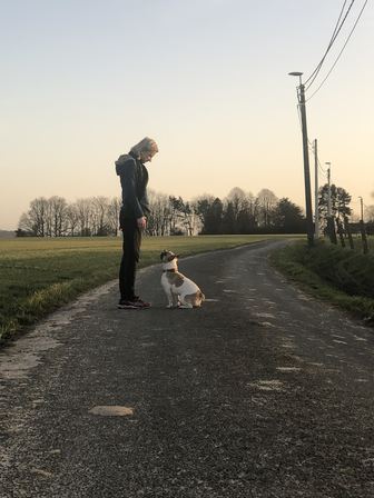 Un bouledogue français assis sur une route de campagne au lever du jour, museau levé vers la main de l'éducatrice restée immobile à côté de lui.