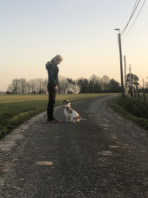 Un bouledogue français assis sur une route de campagne au lever du jour, museau levé vers la main de l'éducatrice restée immobile à côté de lui.